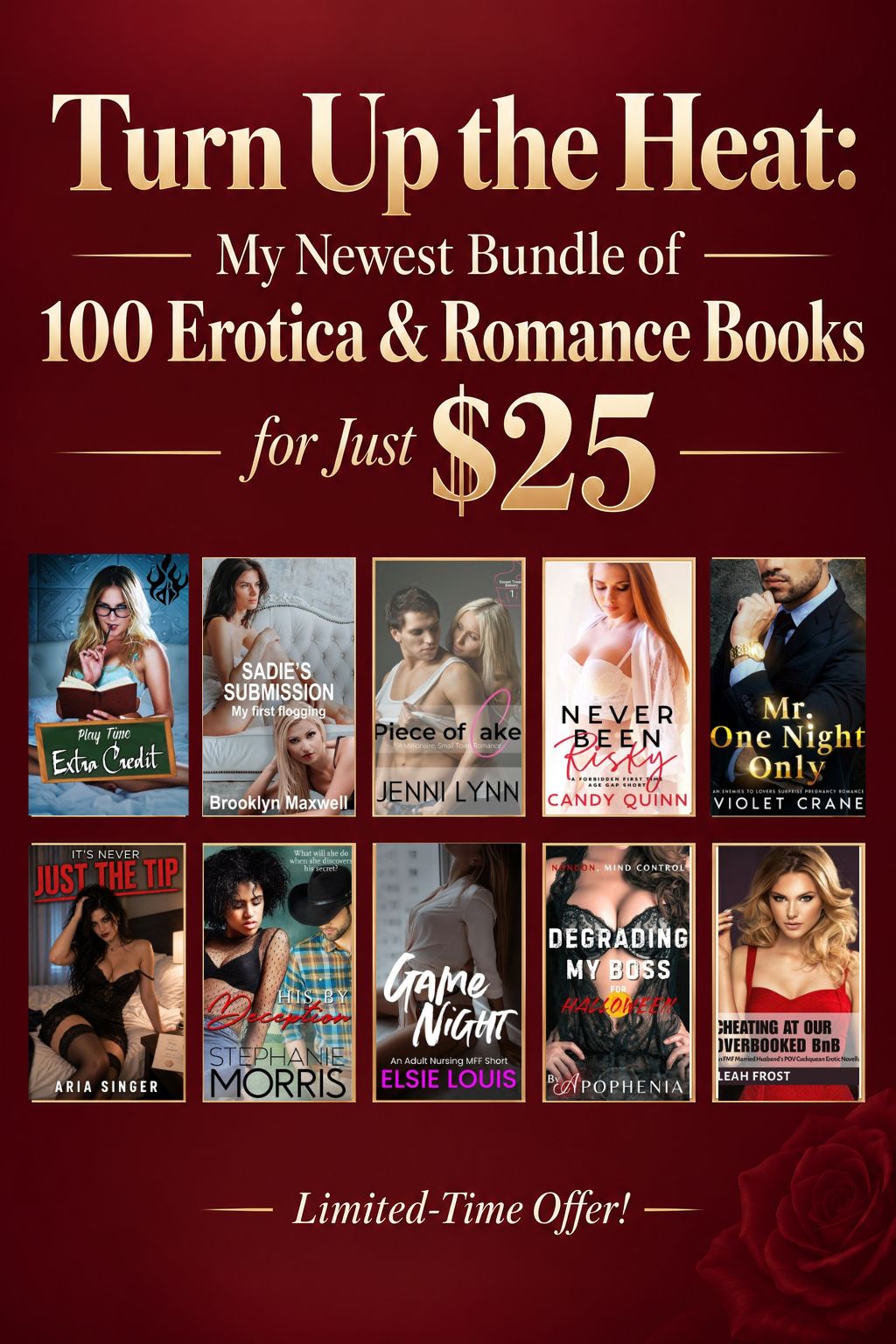 Turn Up the Heat: My Newest Bundle of 100 Erotica & Romance Books for Just $25 — Limited-Time Offer!